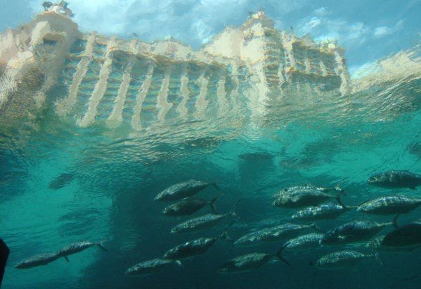 School in the Bahamas
